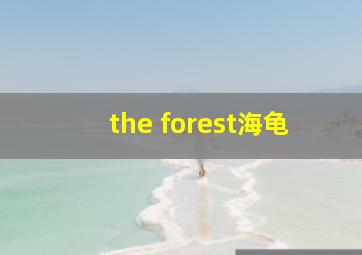 the forest海龟